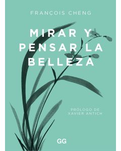 Mirar y pensar la belleza