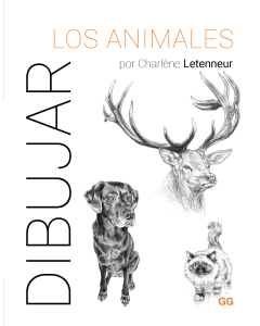 Dibujar los animales